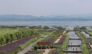 我国面积最大的湖泊 我国面积最大的湖泊