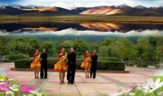 广场交谊舞探戈 广场交谊舞探戈