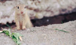 沈阳化工大学校园网 沈阳化工大学校园网