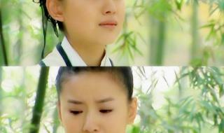 梁山伯与祝英台董洁 梁山伯与祝英台董洁