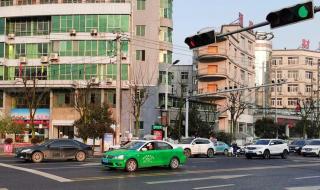 网红红绿灯的黄道歉