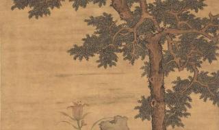 椿萱并茂用来比喻什么