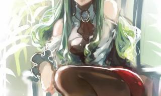 当年第一季结局网络吵架 叛逆的鲁鲁修第一季