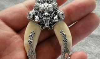 换一颗大牙多少钱一颗 换一颗大牙多少钱一颗