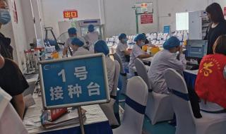 智飞生物新冠疫苗 智飞生物新冠疫苗