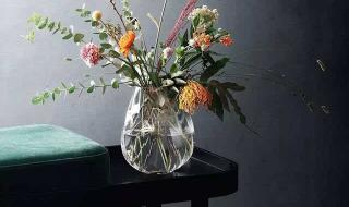 我在无限世界当花瓶