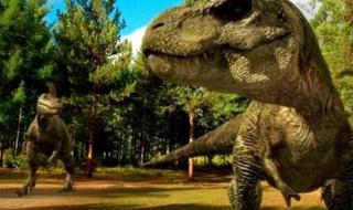 什么动物的皮肤最厚 什么动物的皮肤最厚