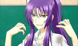 我的老婆是会长大人