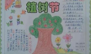 植树节手抄报第一名