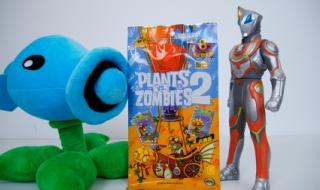 植物大战僵尸周年版