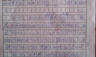 我熟悉的一个人作文