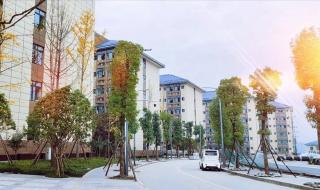 2021年单招学校分数线