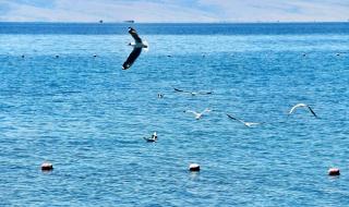 银川是哪个省的城市 银川是哪个省的城市