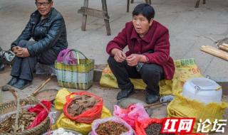 二月初八是什么日子_ 二月初八是什么日子_