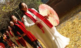 你喜欢银杏吗下一句 你喜欢银杏吗下一句