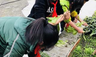 招蔬菜装卸工300一天