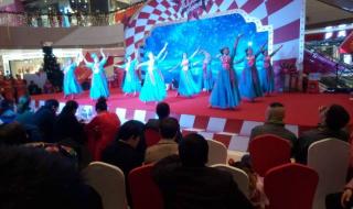 花房姑娘中国好声音 花房姑娘中国好声音