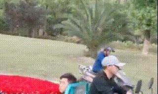 “二师兄”游泳自救 “二师兄”游泳自救