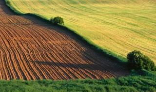 农业补贴多少钱一亩 农业补贴多少钱一亩