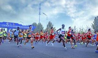 安徽单招成绩查询入口 安徽单招成绩查询入口