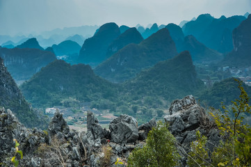 无忧花的花语和典故 无忧花的花语是什么